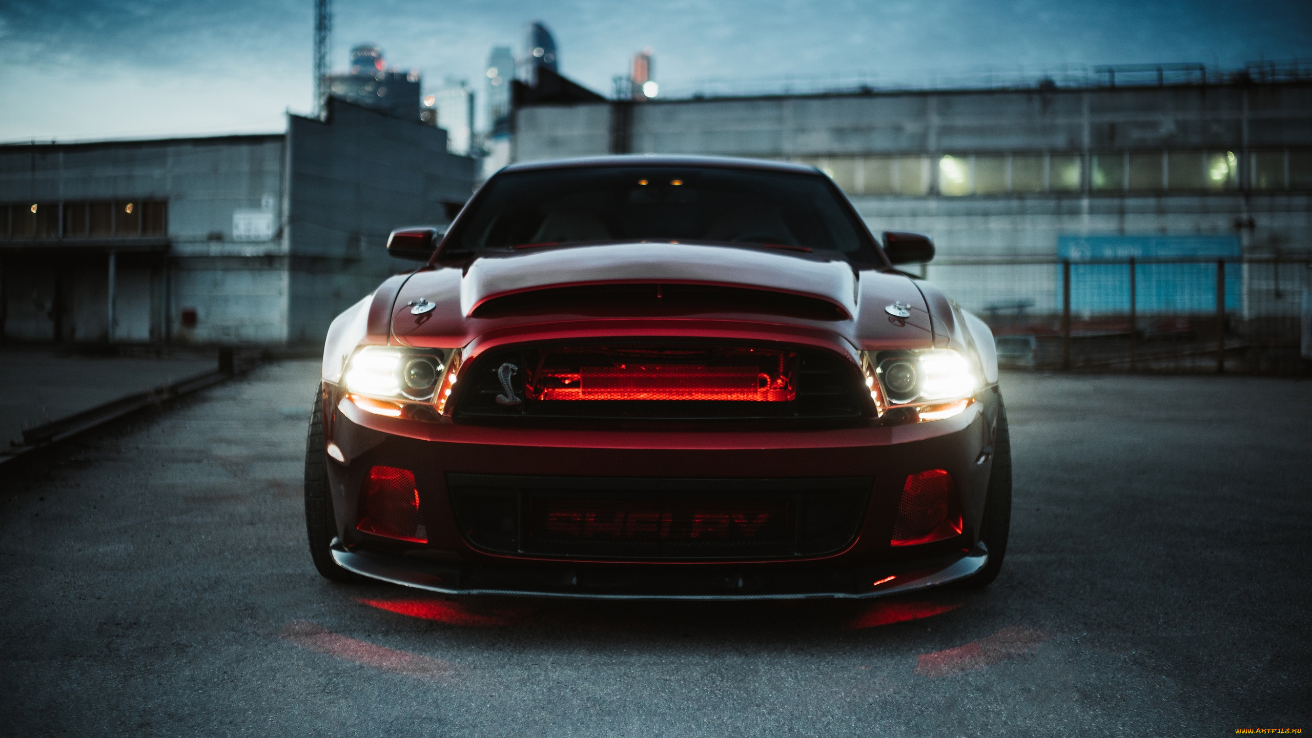 , mustang, ford, shelby, super, snake